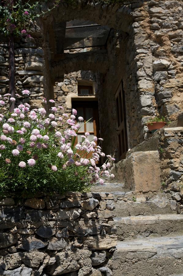 Bed and Breakfast La Casa Dei Nonni Castelbianco Colletta Exteriér fotografie